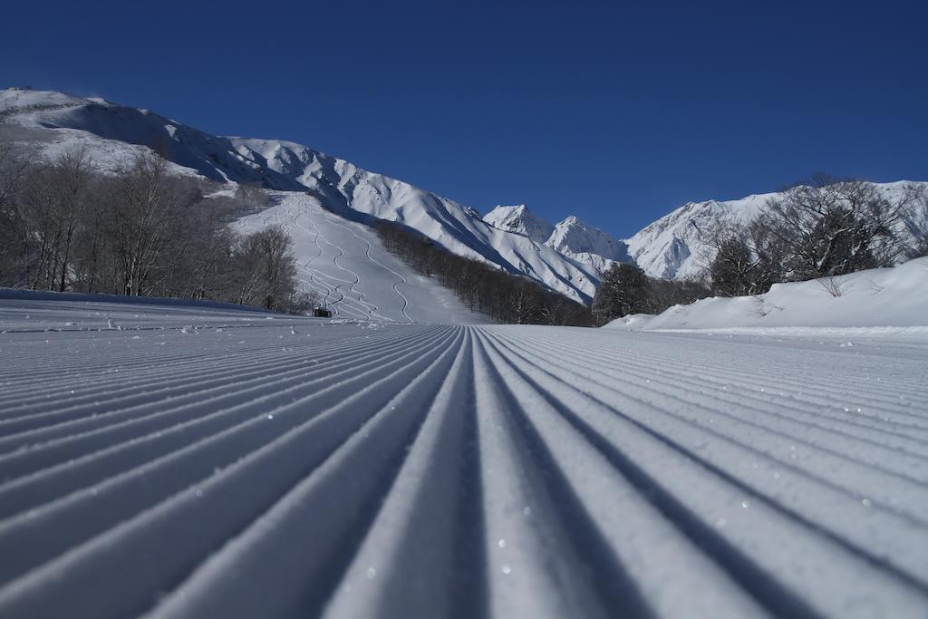 ホテル オークフォレスト 白馬村 エクステリア 写真